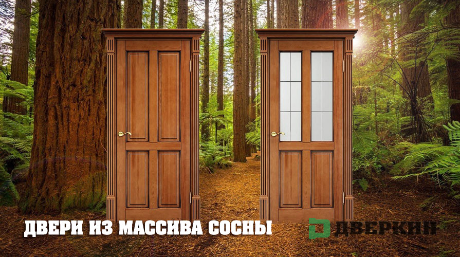 Двери из массива сосны фото в лесу