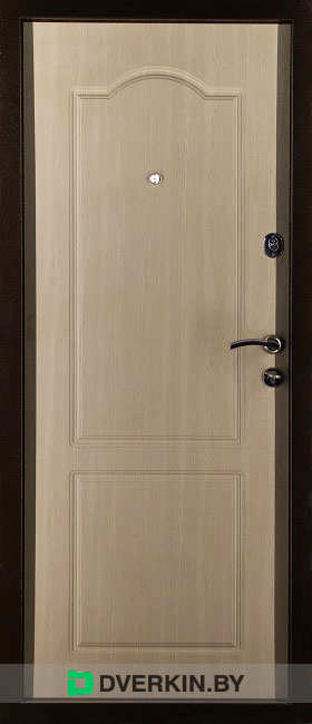 Входная металлическая дверь "Ваша рамка" серия Практик модель Е